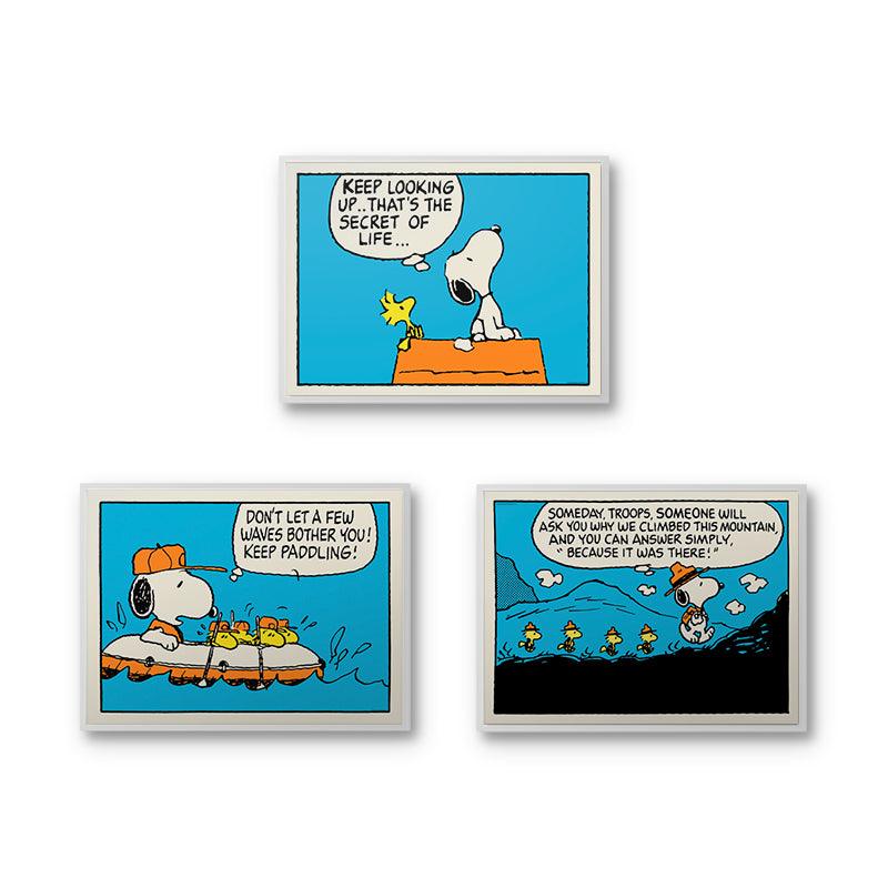 Peanuts - Comic Book Bundle - IKONICK - Peanuts