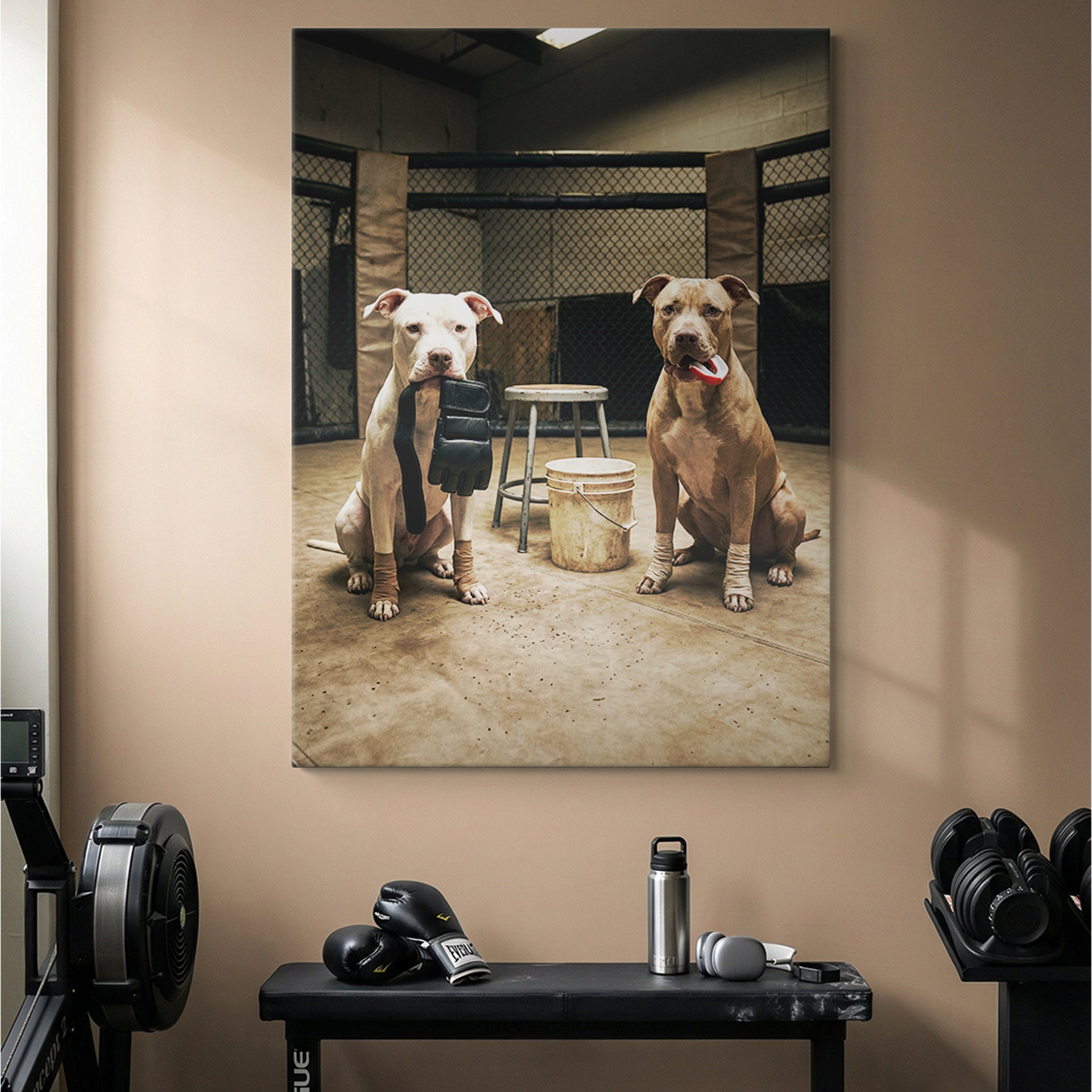 Pitbull MMA