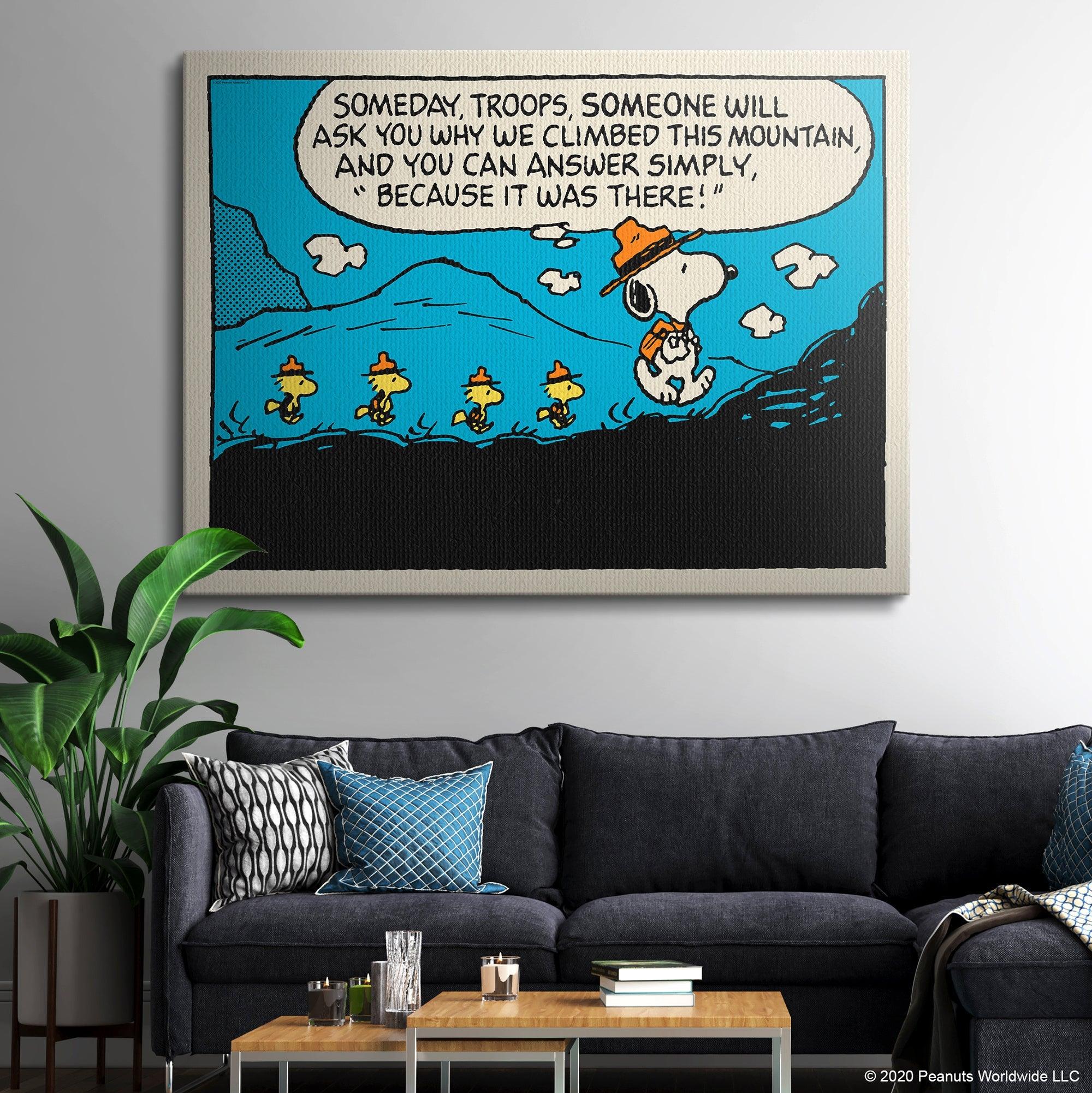 PEANUTS - The Mountain - IKONICK - Peanuts