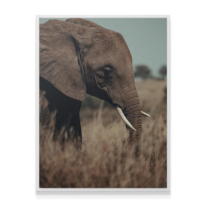 A Tall Moment - IKONICK - shortstache™︎