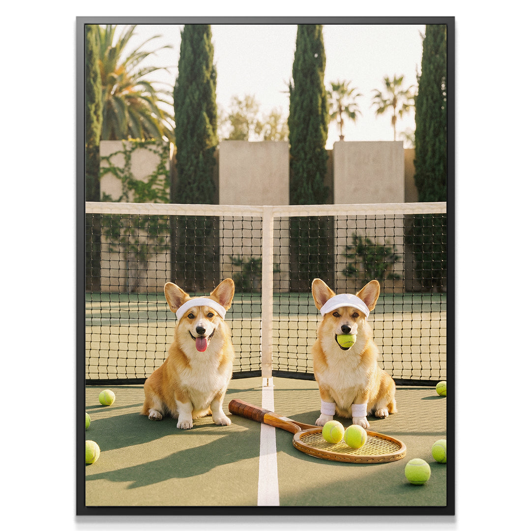 Corgi Tennis