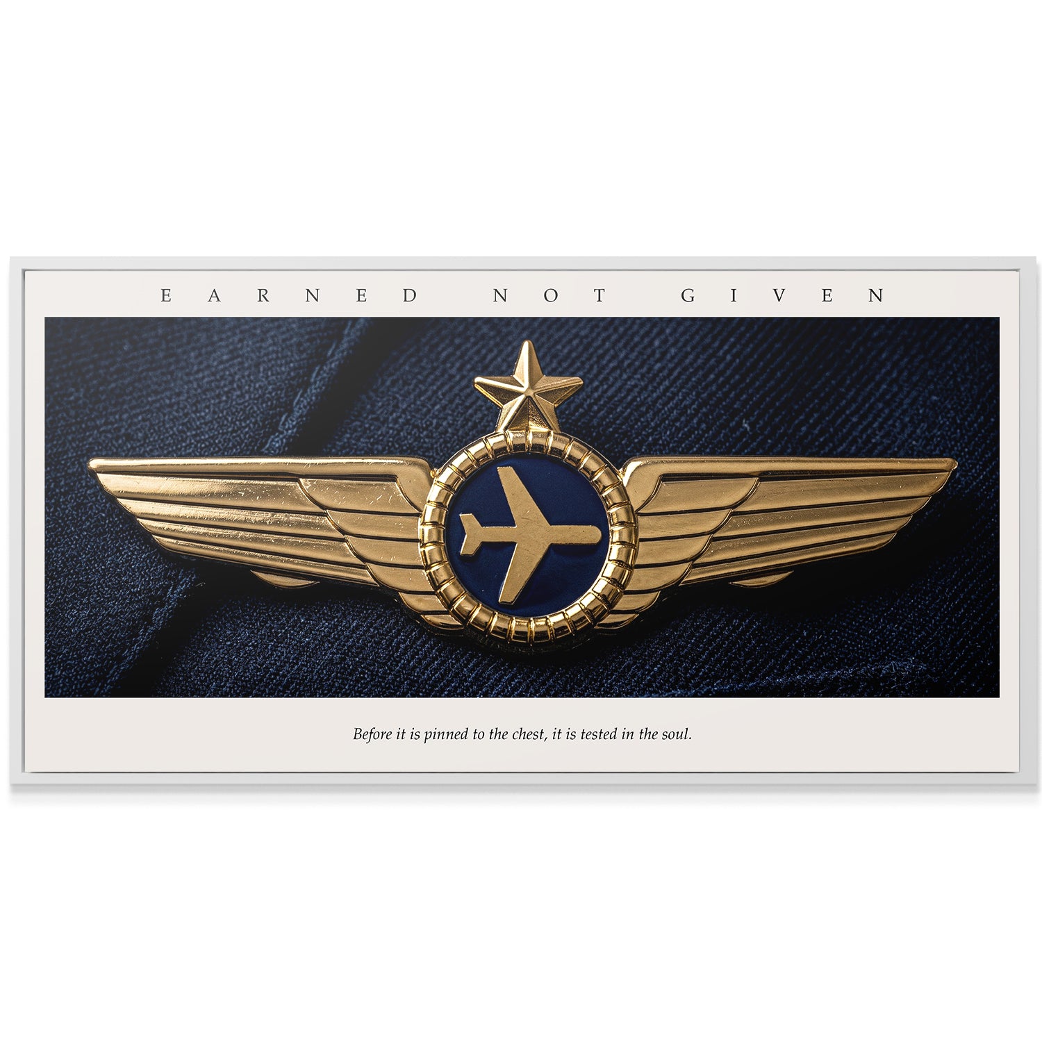 Earned Not Given - Pilot Wings