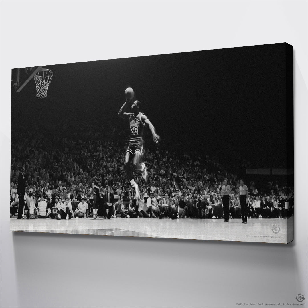 Michael Jordan - Elevation - IKONICK - Michael Jordan