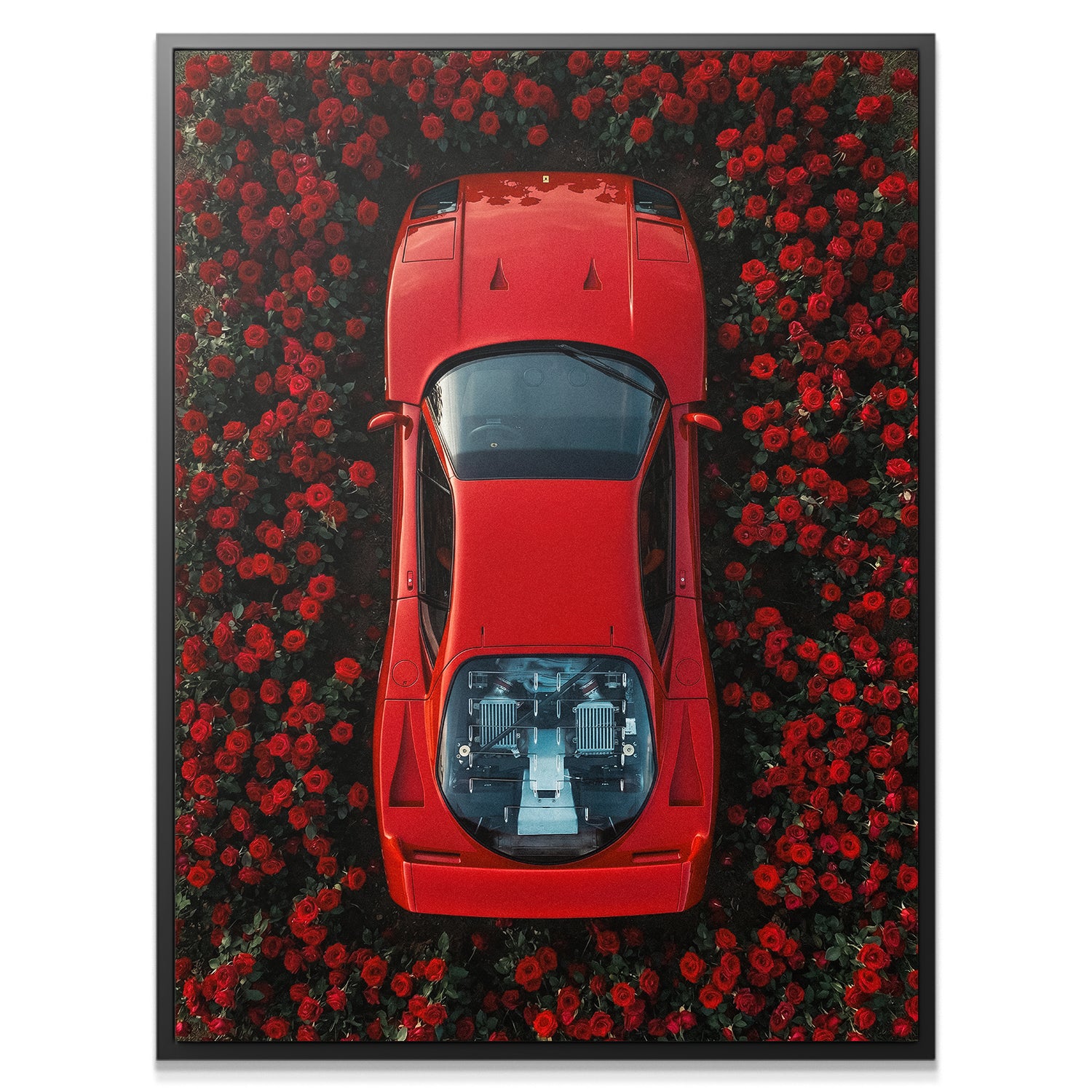 F40 Roses