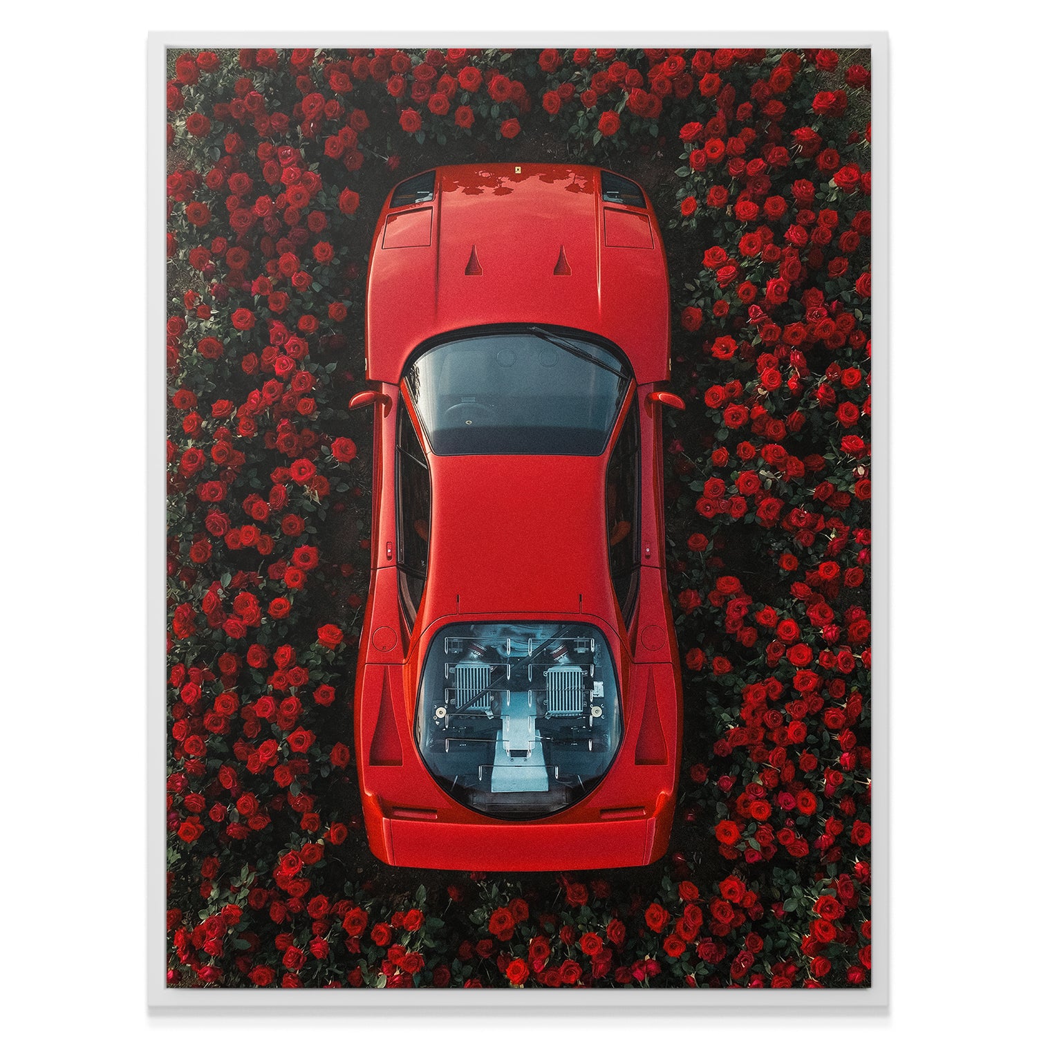 F40 Roses