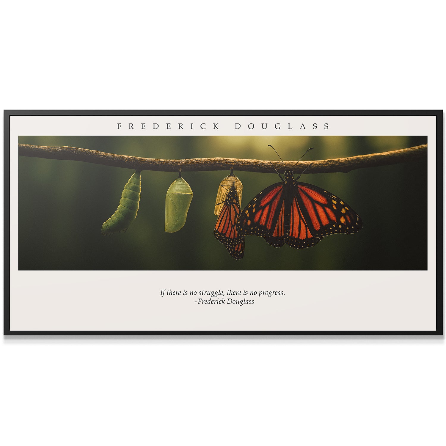 Frederick Douglass - Butterfly