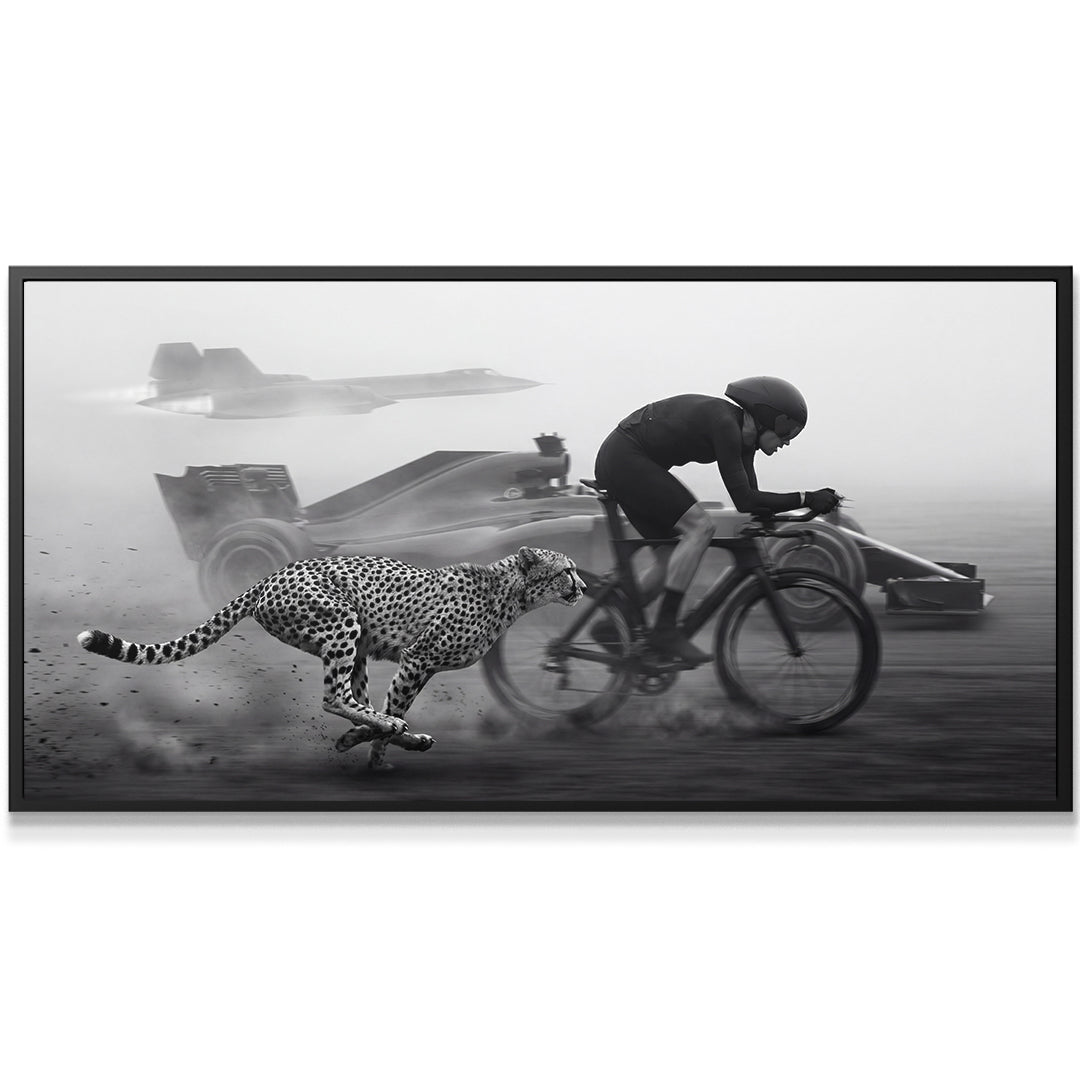 Bike vs Everything