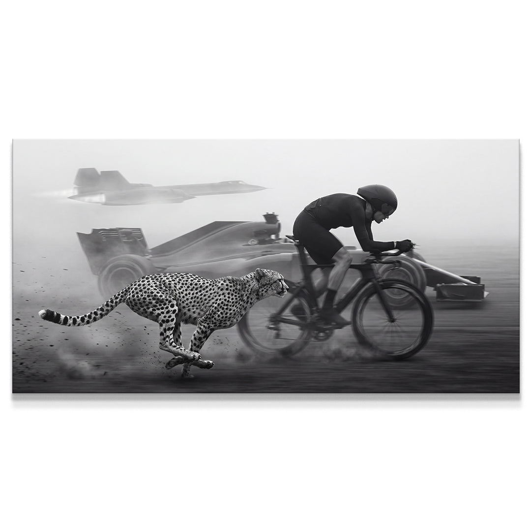 Bike vs Everything