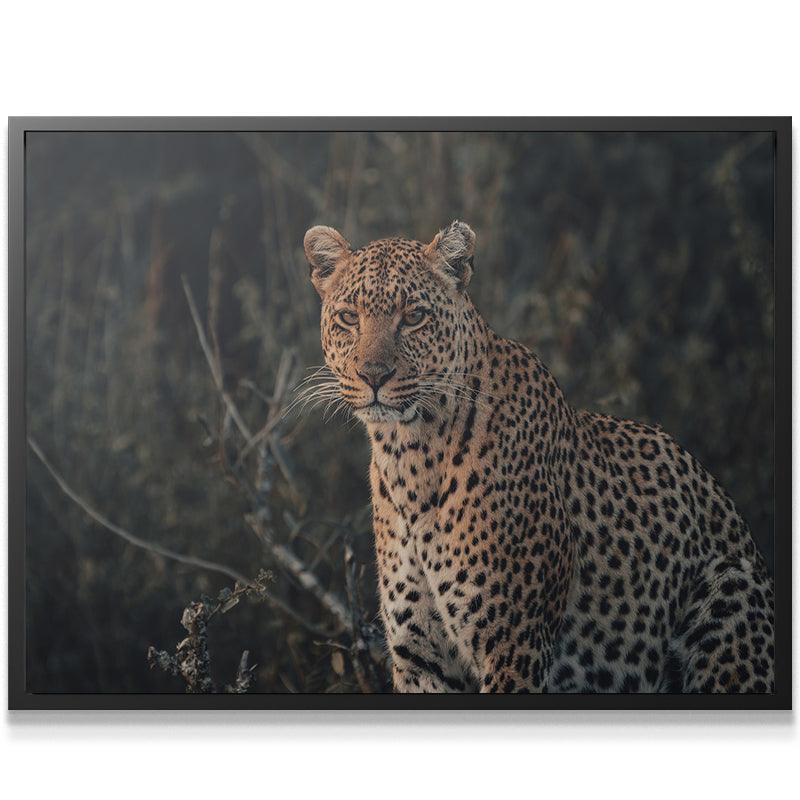 Eyes of Beauty - IKONICK - shortstache™︎