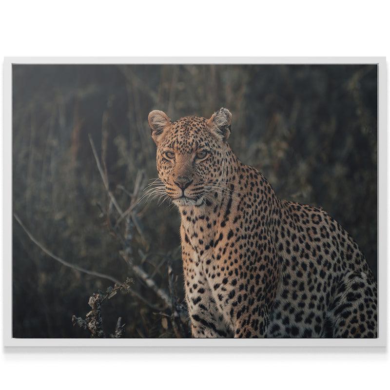 Eyes of Beauty - IKONICK - shortstache™︎