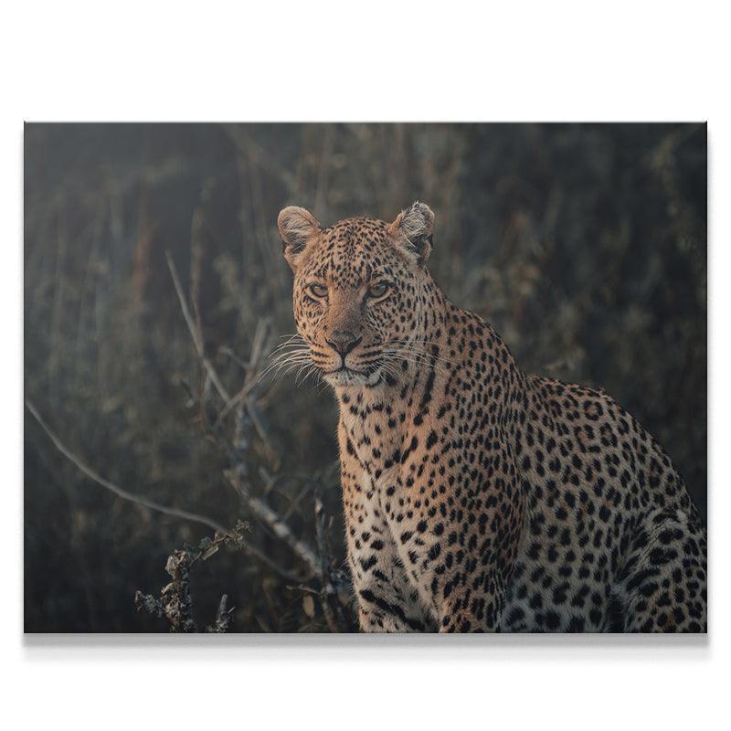 Eyes of Beauty - IKONICK - shortstache™︎