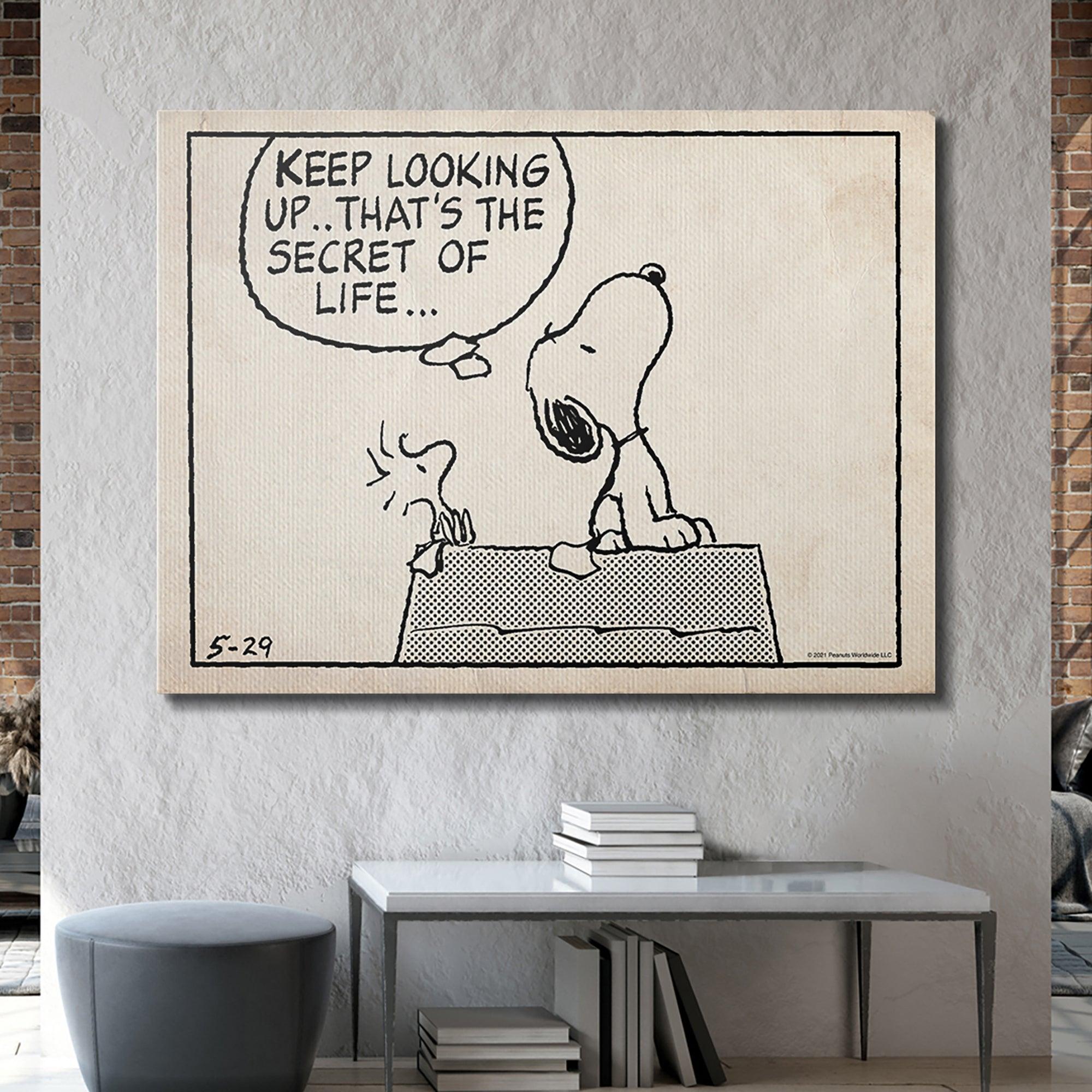 Peanuts - Keep Looking Up - Sketch - IKONICK - Peanuts