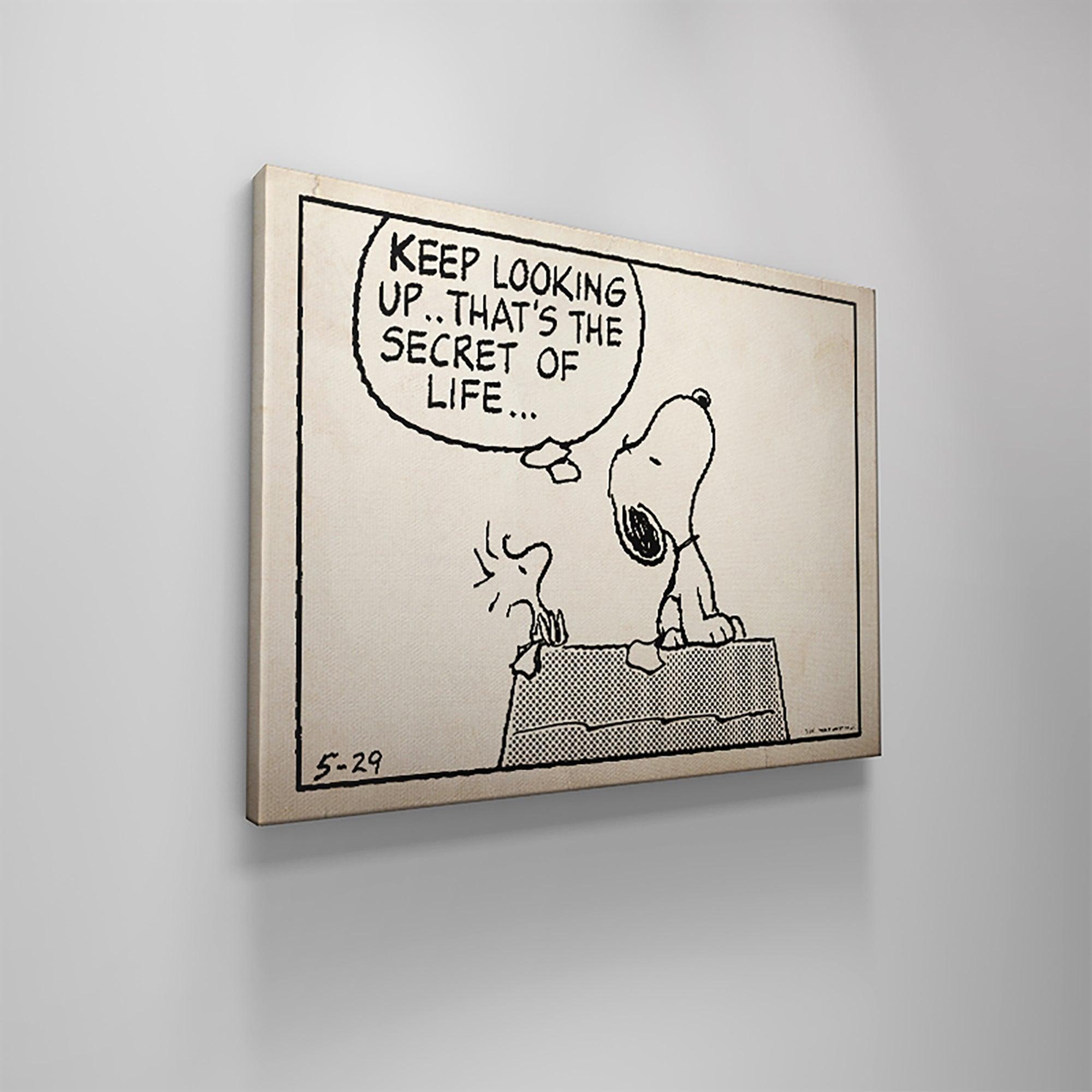 Peanuts - Keep Looking Up - Sketch - IKONICK - Peanuts