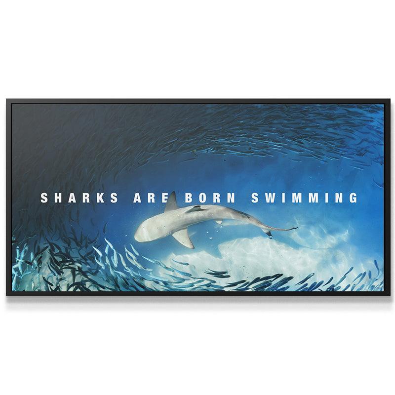 Sharks Are Born Swimming - IKONICK - IKONICK Original