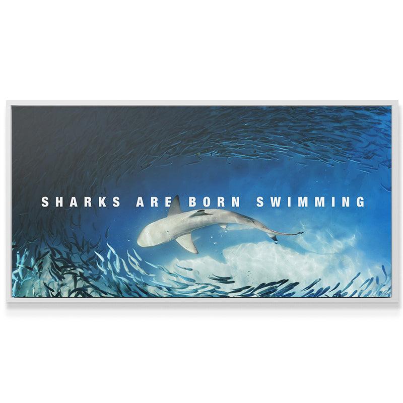 Sharks Are Born Swimming - IKONICK - IKONICK Original