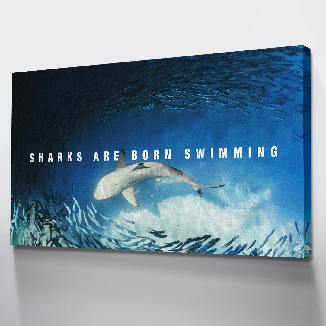 Sharks Are Born Swimming - IKONICK - IKONICK Original