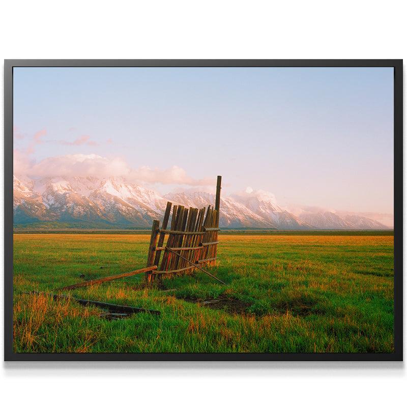 A Fence in Jackson - IKONICK - Sol Rapson