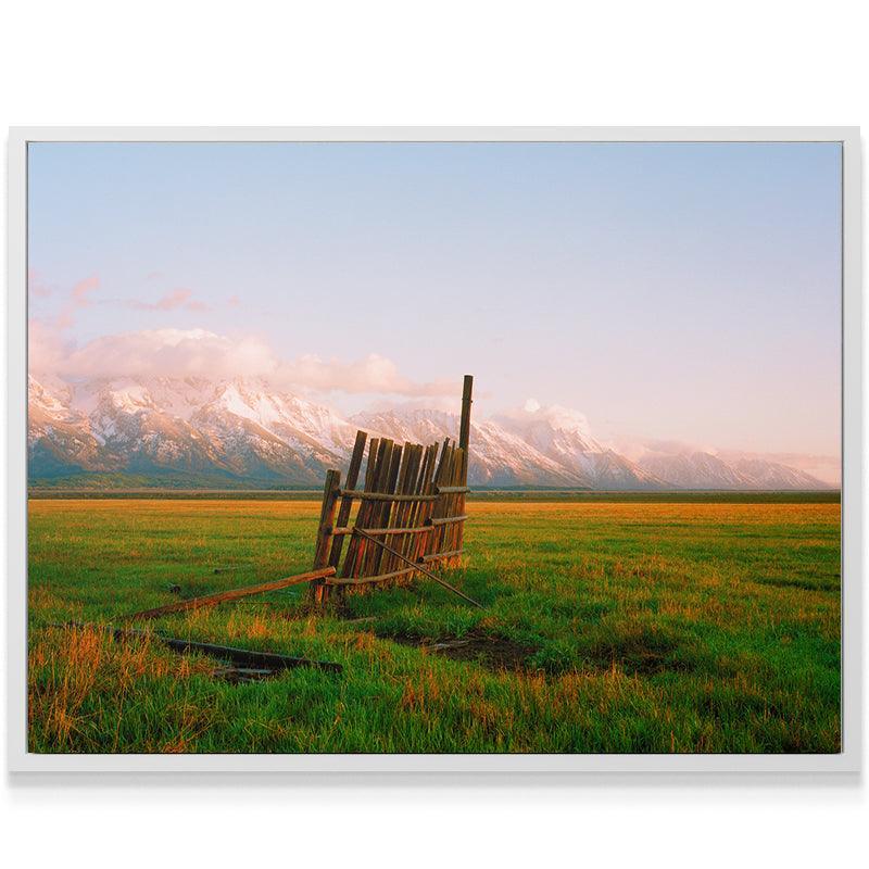 A Fence in Jackson - IKONICK - Sol Rapson
