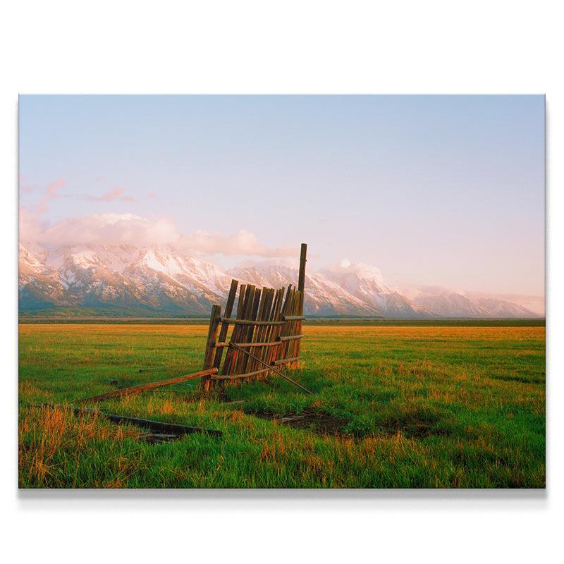 A Fence in Jackson - IKONICK - Sol Rapson