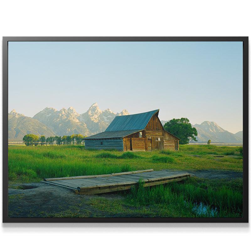 Jackson Greens - IKONICK - Sol Rapson