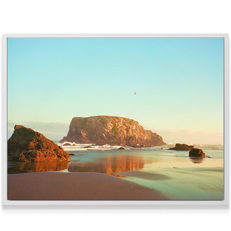 The Bird from Bandon - IKONICK - Sol Rapson