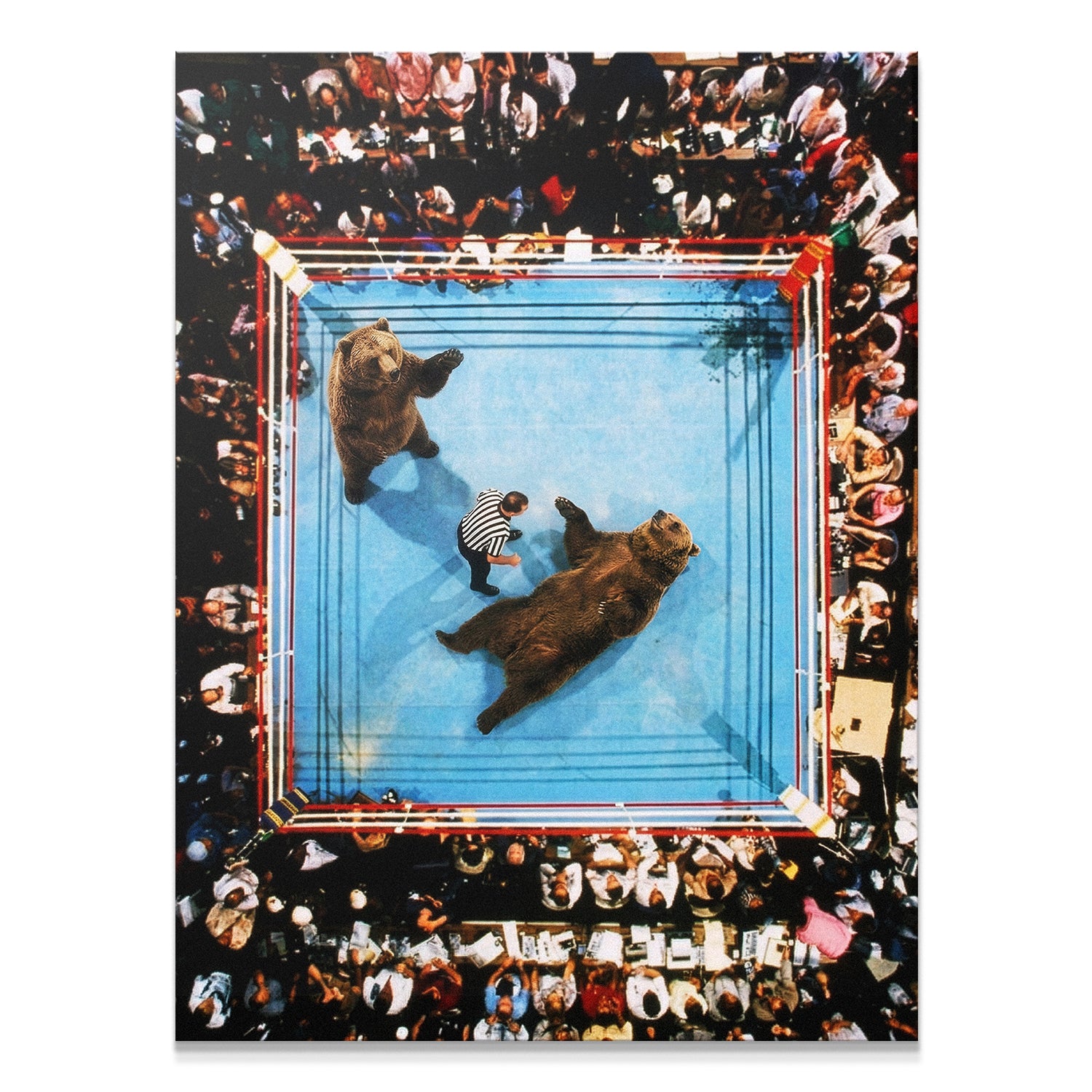 Bear Wrestle