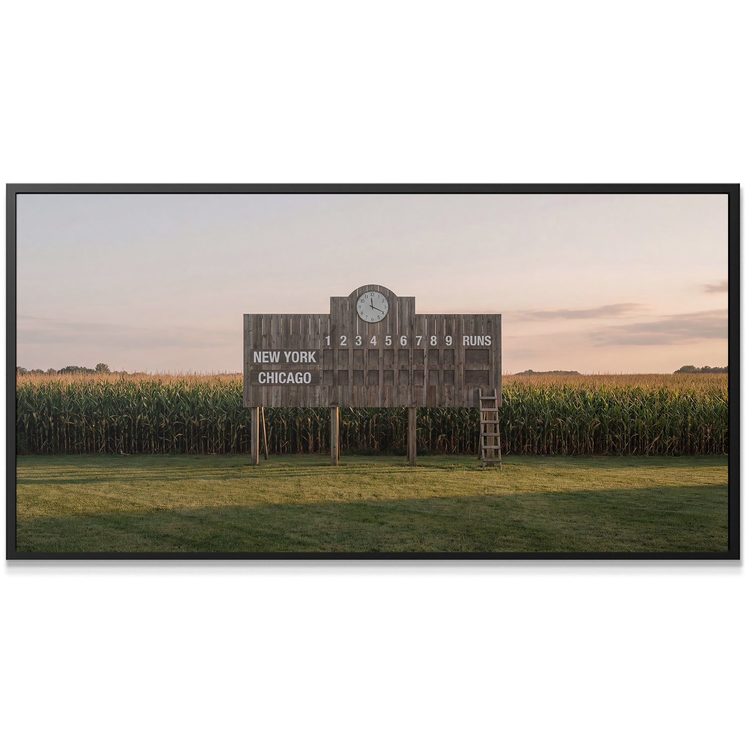 Field of Summer