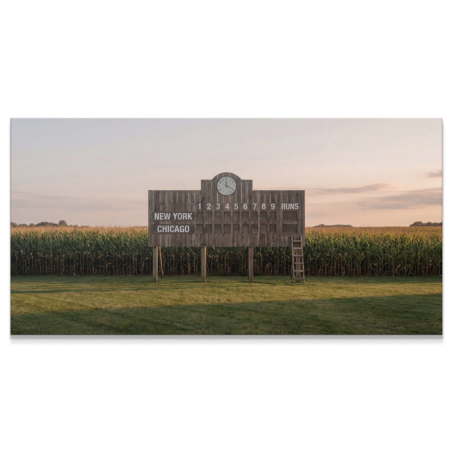 Field of Summer