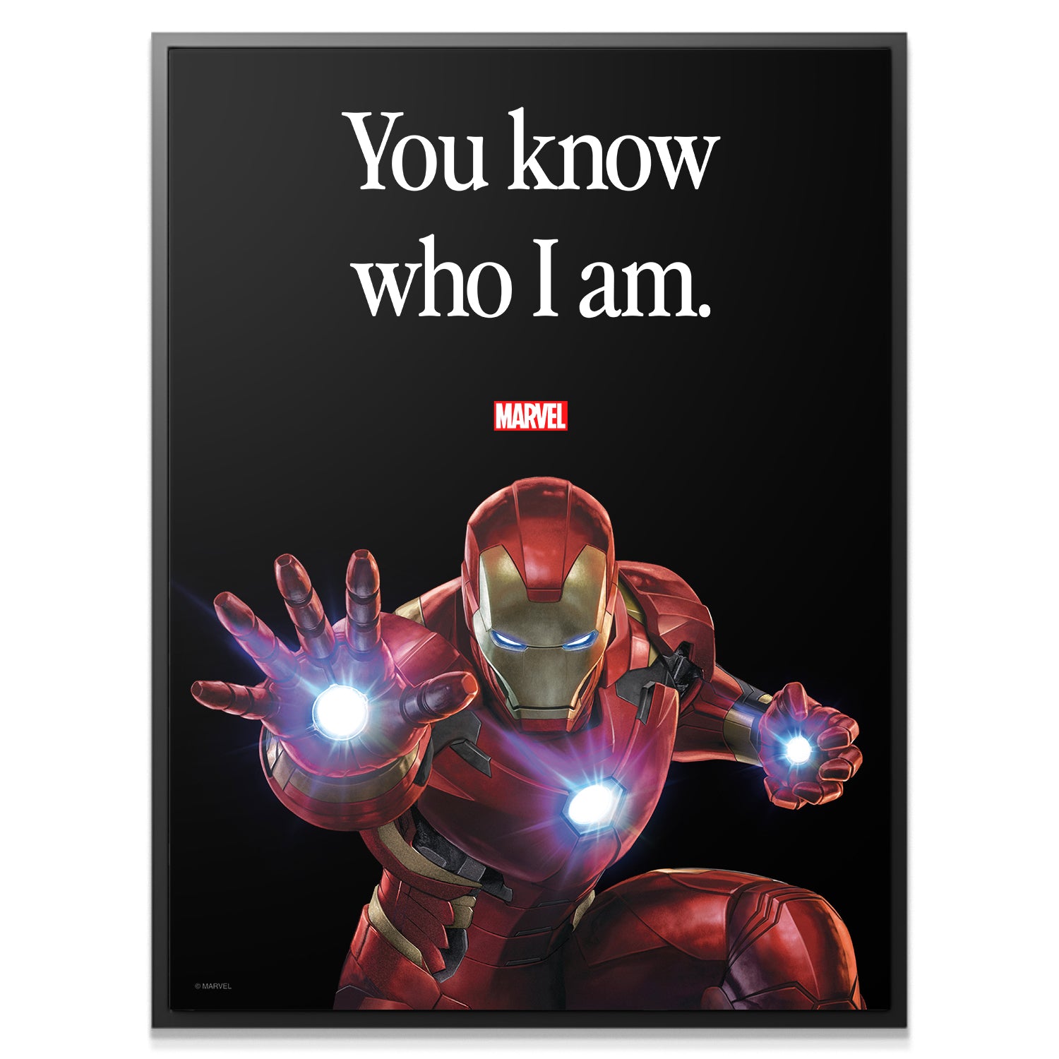 Marvel - Iron Man - You Know Who I Am - IKONICK - Marvel