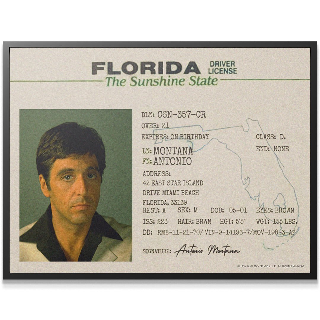 Scarface - Sunshine State - IKONICK - Scarface