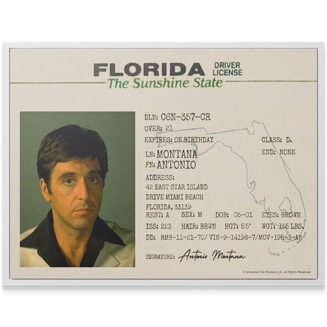 Scarface - Sunshine State - IKONICK - Scarface