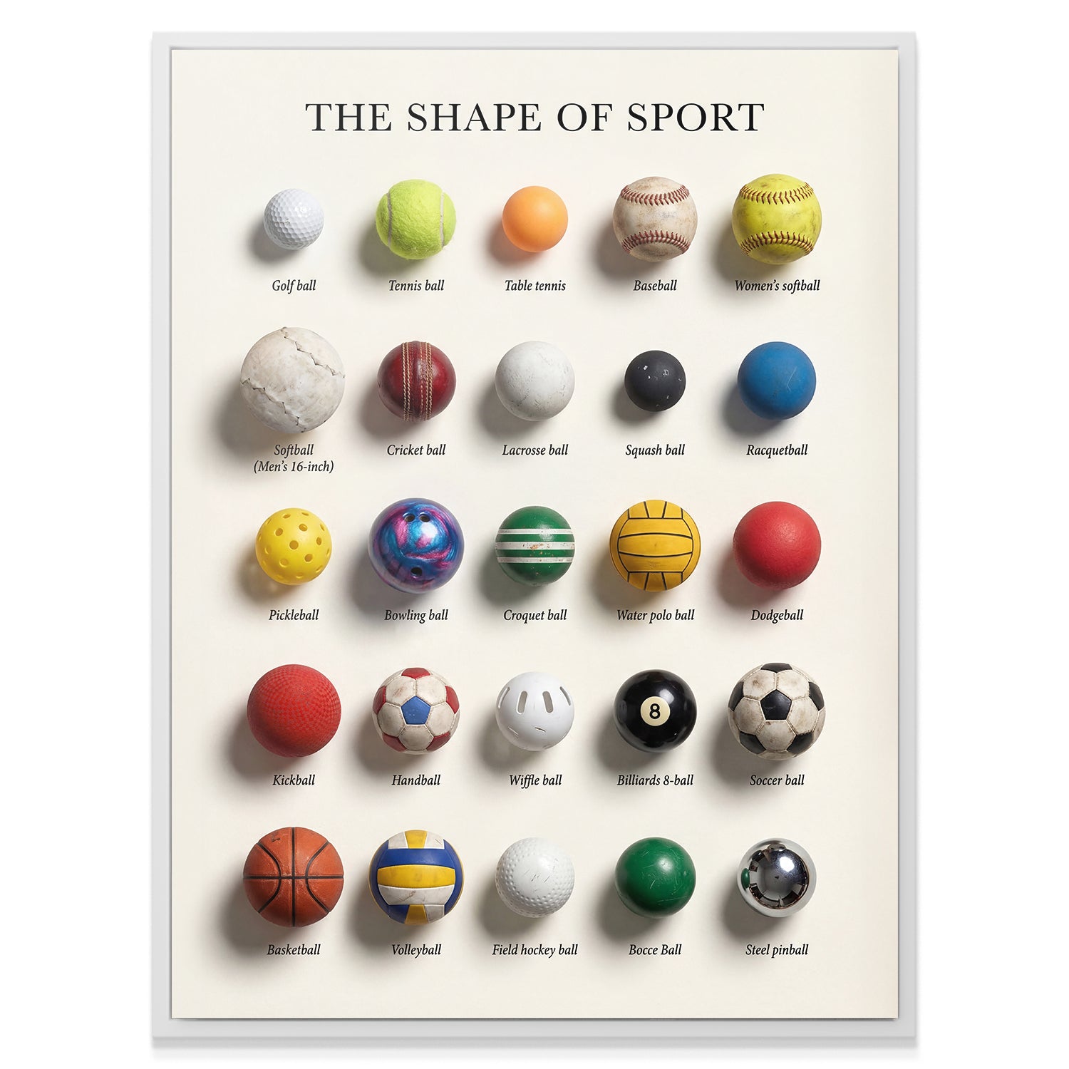 The Shape of Sport