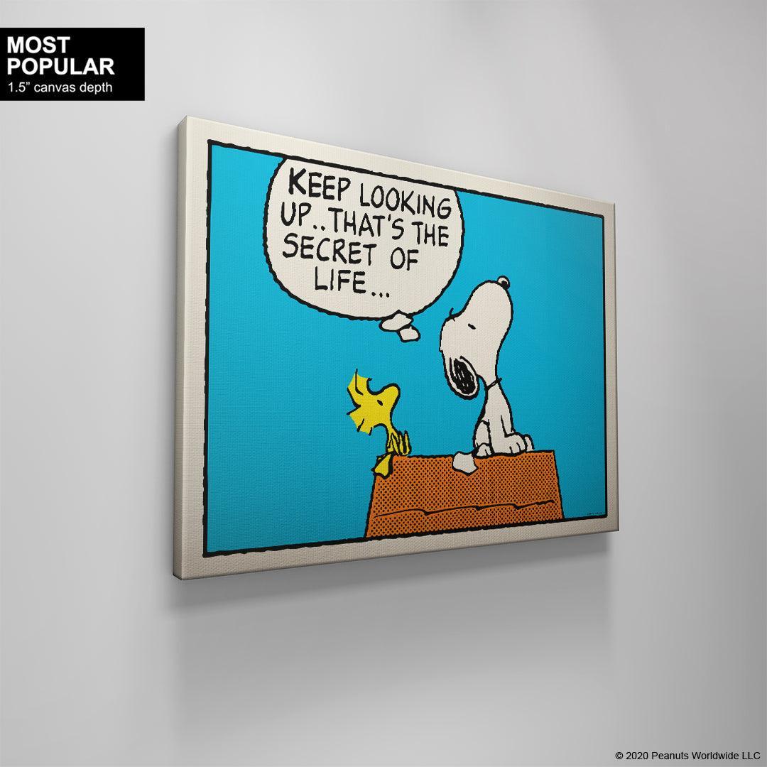 PEANUTS - Keep Looking Up - IKONICK - Peanuts