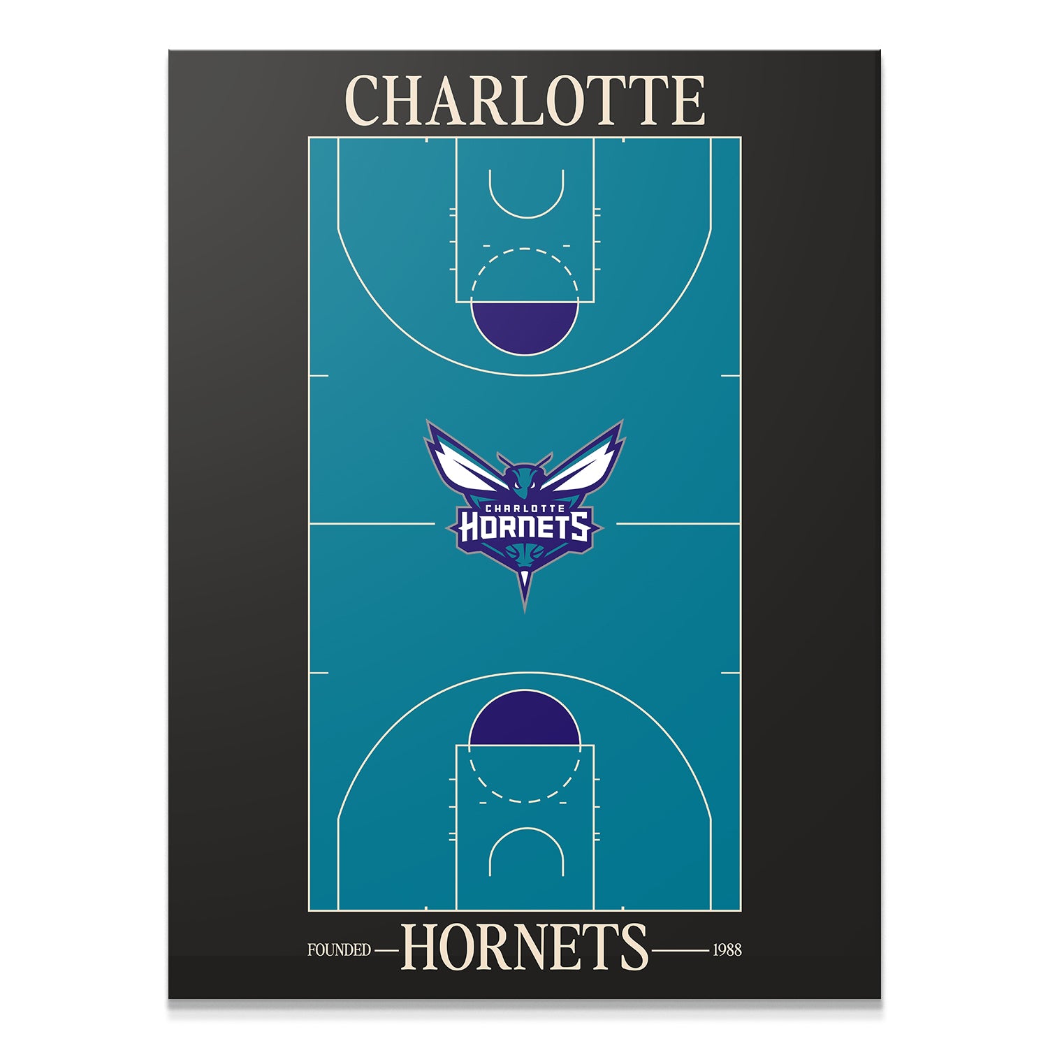 Top Court Design - Hornets - IKONICK - NBA Teams