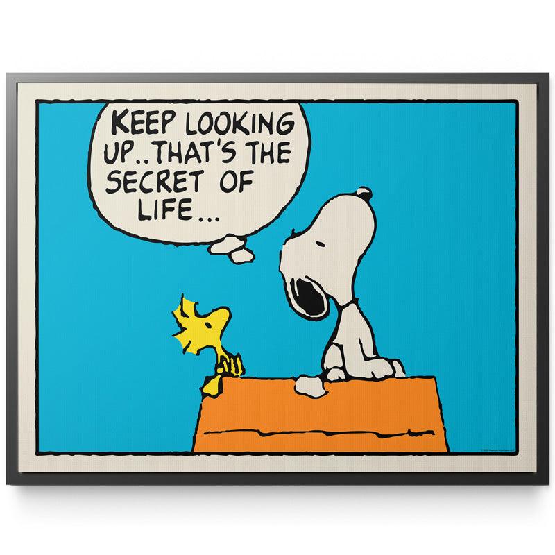 PEANUTS - Keep Looking Up - IKONICK - Peanuts
