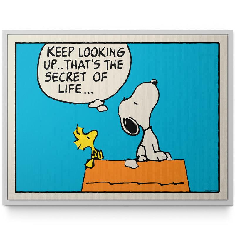 PEANUTS - Keep Looking Up - IKONICK - Peanuts
