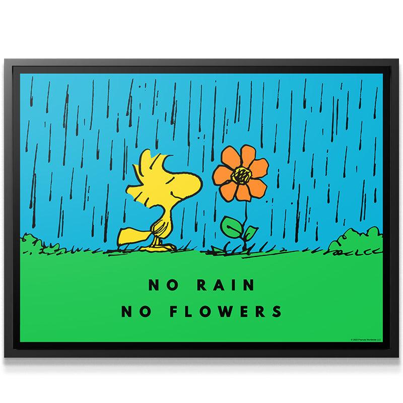 PEANUTS - No Rain No Flowers - IKONICK - Peanuts