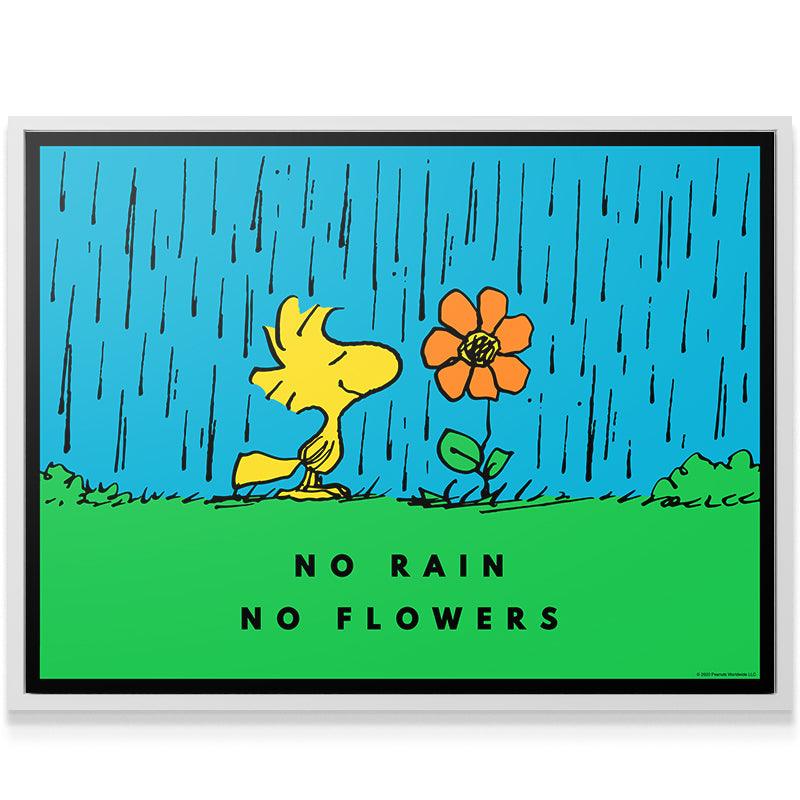 PEANUTS - No Rain No Flowers - IKONICK - Peanuts