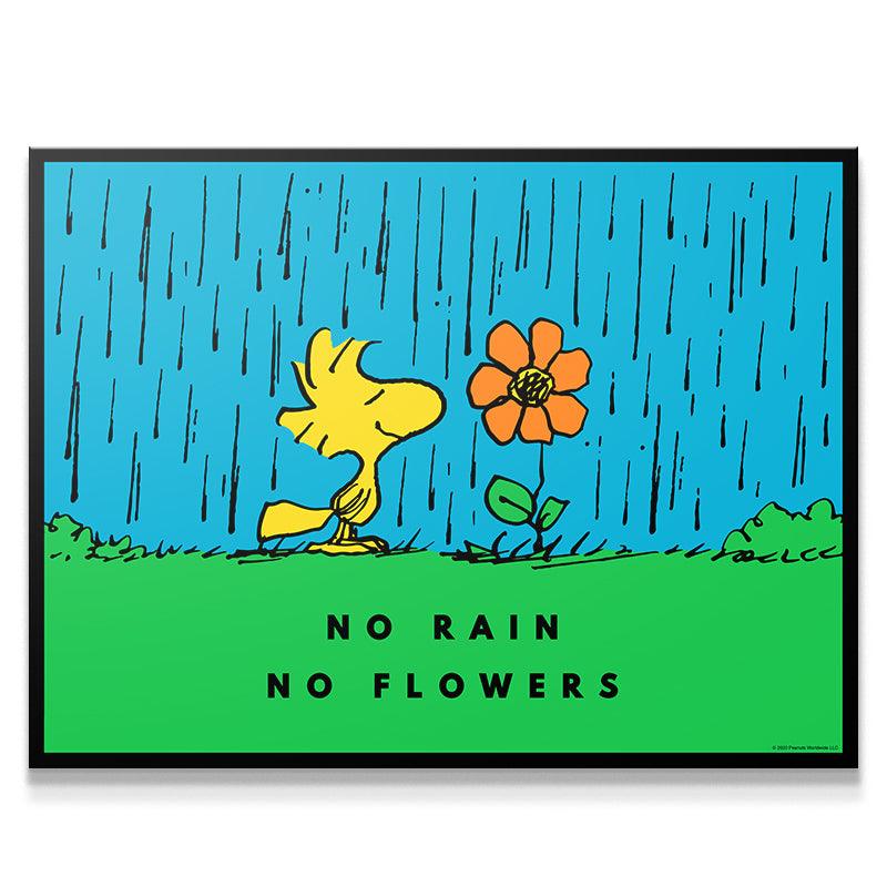 PEANUTS - No Rain No Flowers - IKONICK - Peanuts