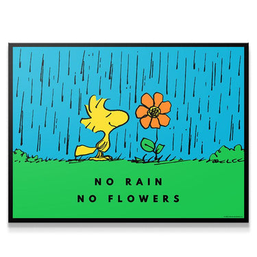 PEANUTS  - No Rain No Flowers - IKONICK