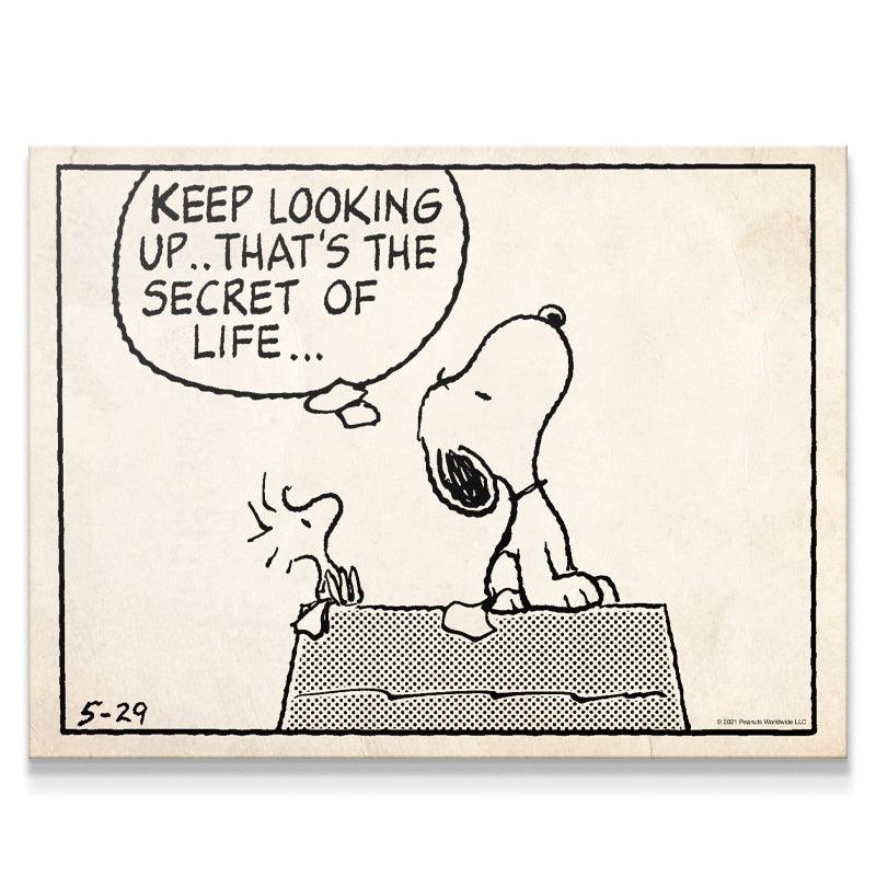 Peanuts - Keep Looking Up - Sketch - IKONICK - Peanuts