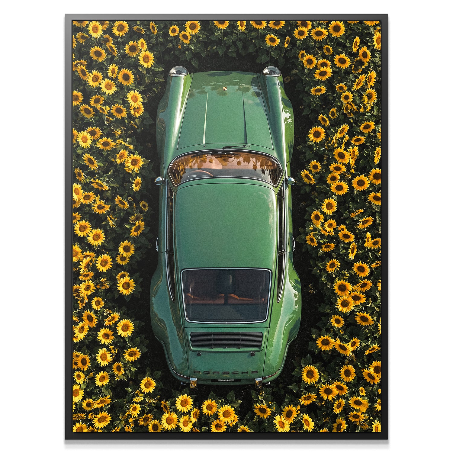 Porsche Sunflower