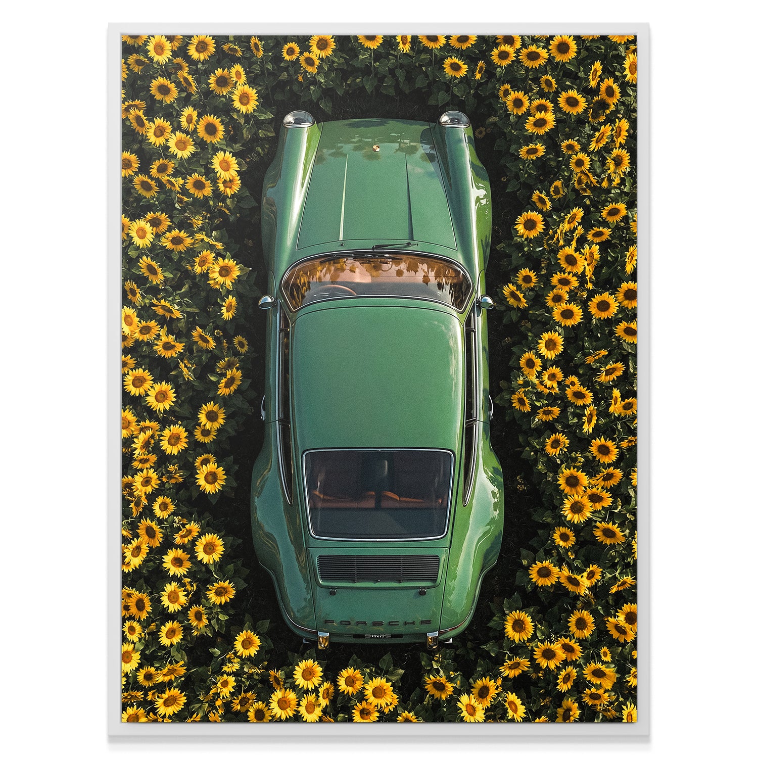 Porsche Sunflower