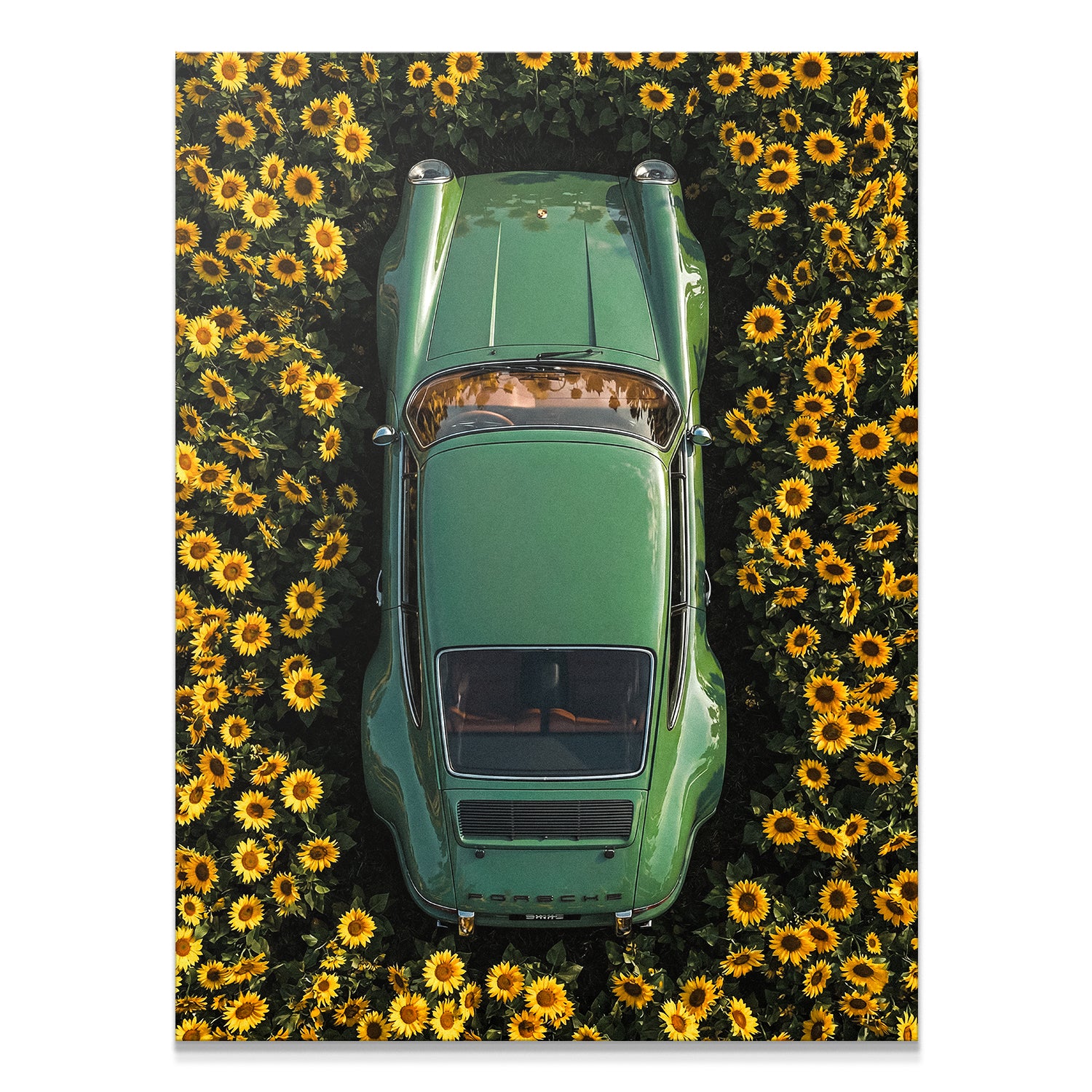 Porsche Sunflower