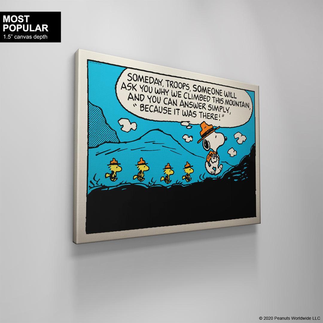 PEANUTS - The Mountain - IKONICK - Peanuts