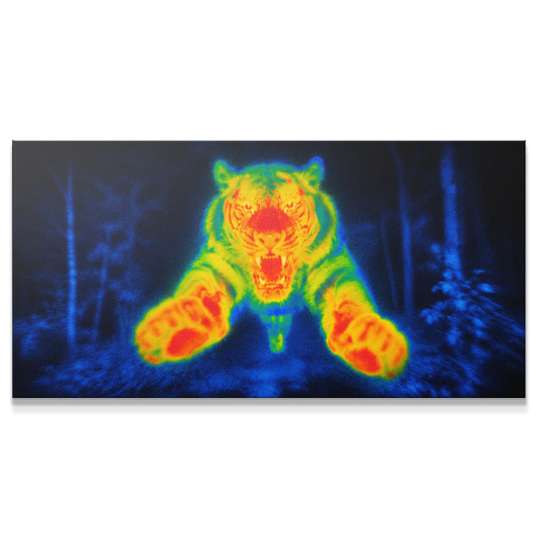 Tiger Thermal Attack