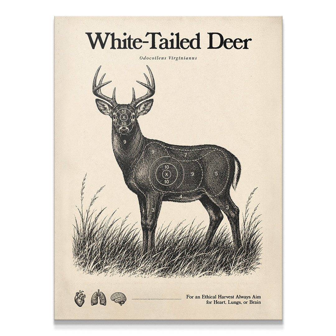 White Tailed Deer Target Sheet