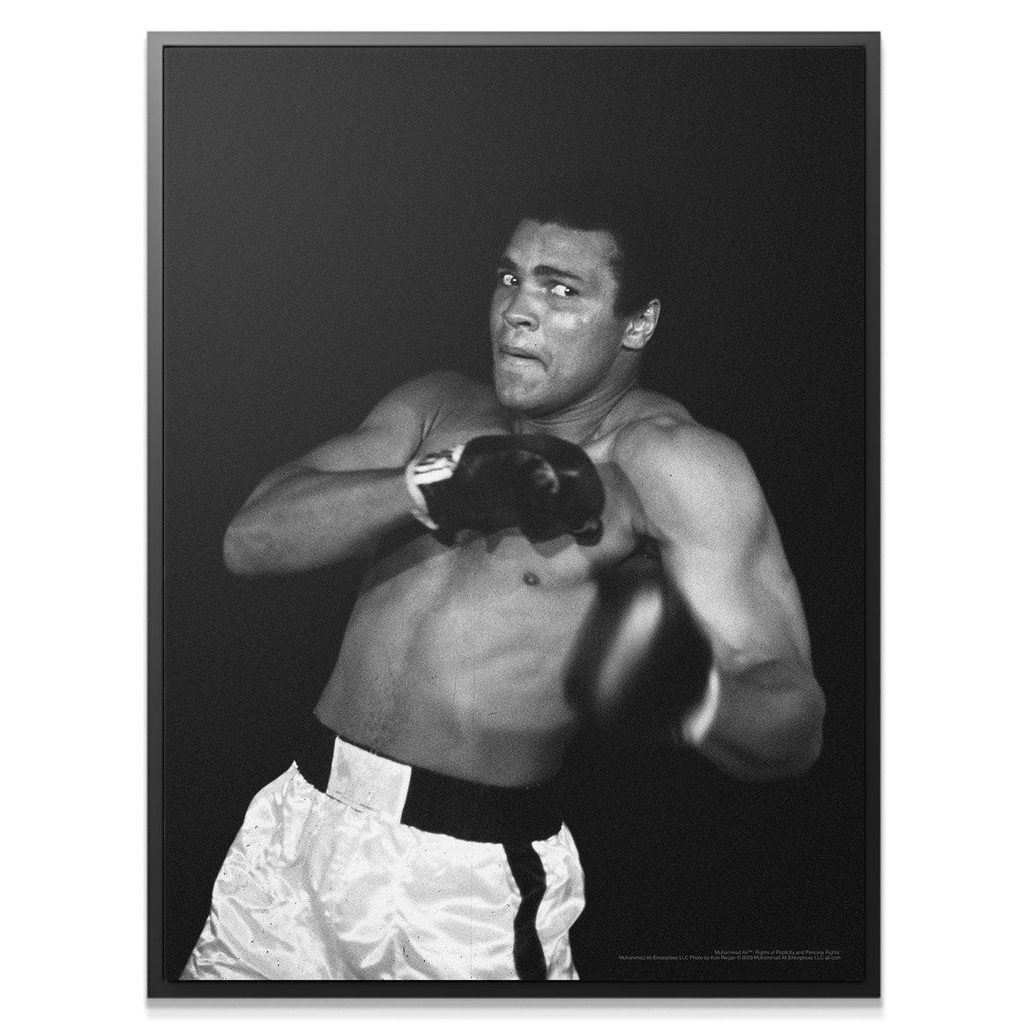Muhammad Ali - Shadow - IKONICK - Muhammad Ali