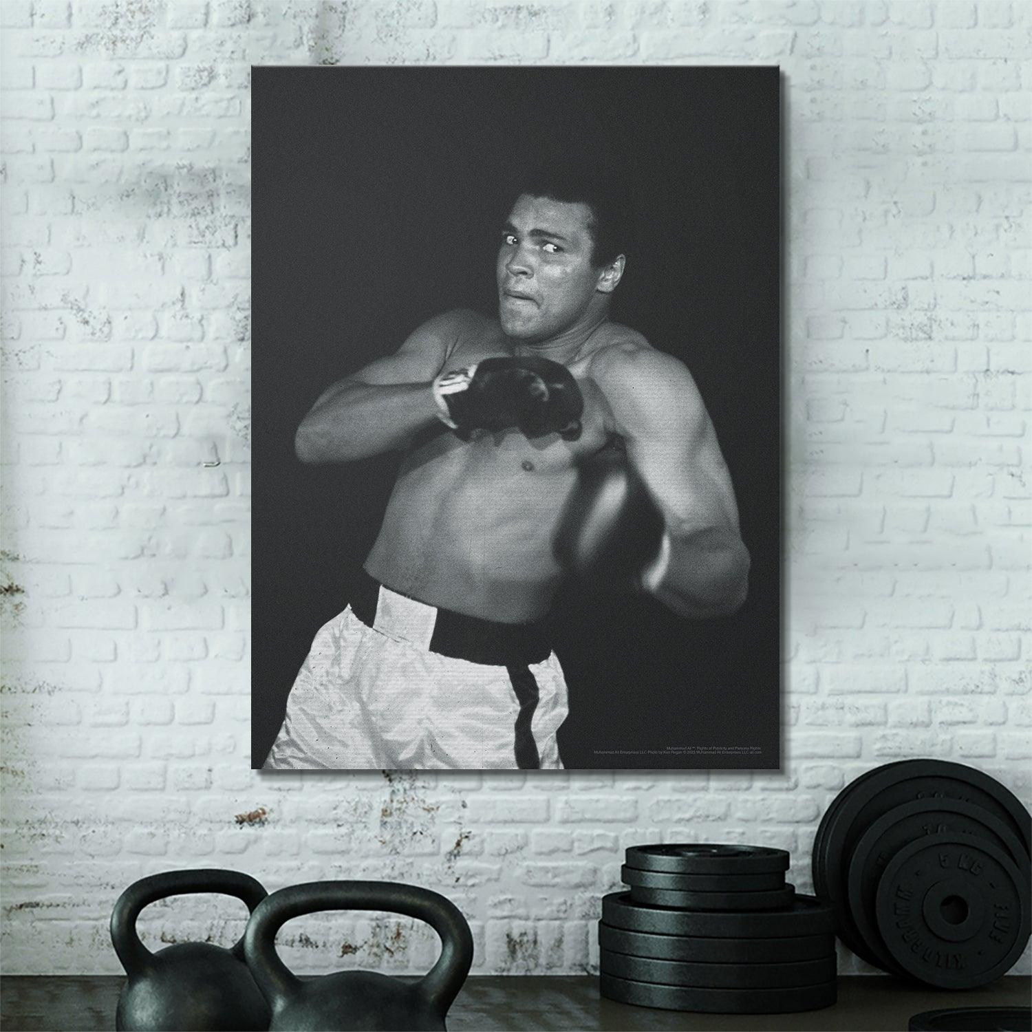 Muhammad Ali - Shadow - IKONICK - Muhammad Ali