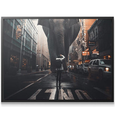 Elephant In Street